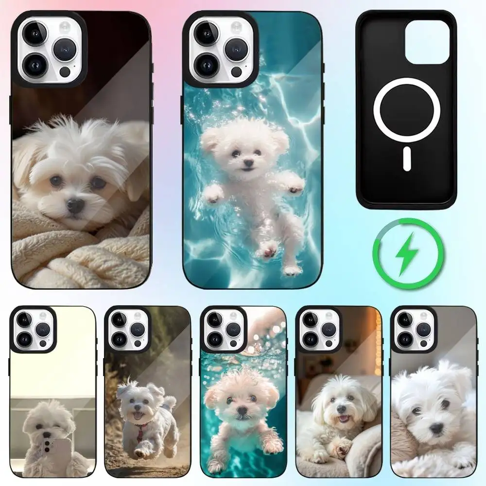 

Cute animal Maltese Dogs Phone Case For iPhone17,16,15,14,13,12,11 Plus,Pro Max Magnetic Magsafe Wireless Charging