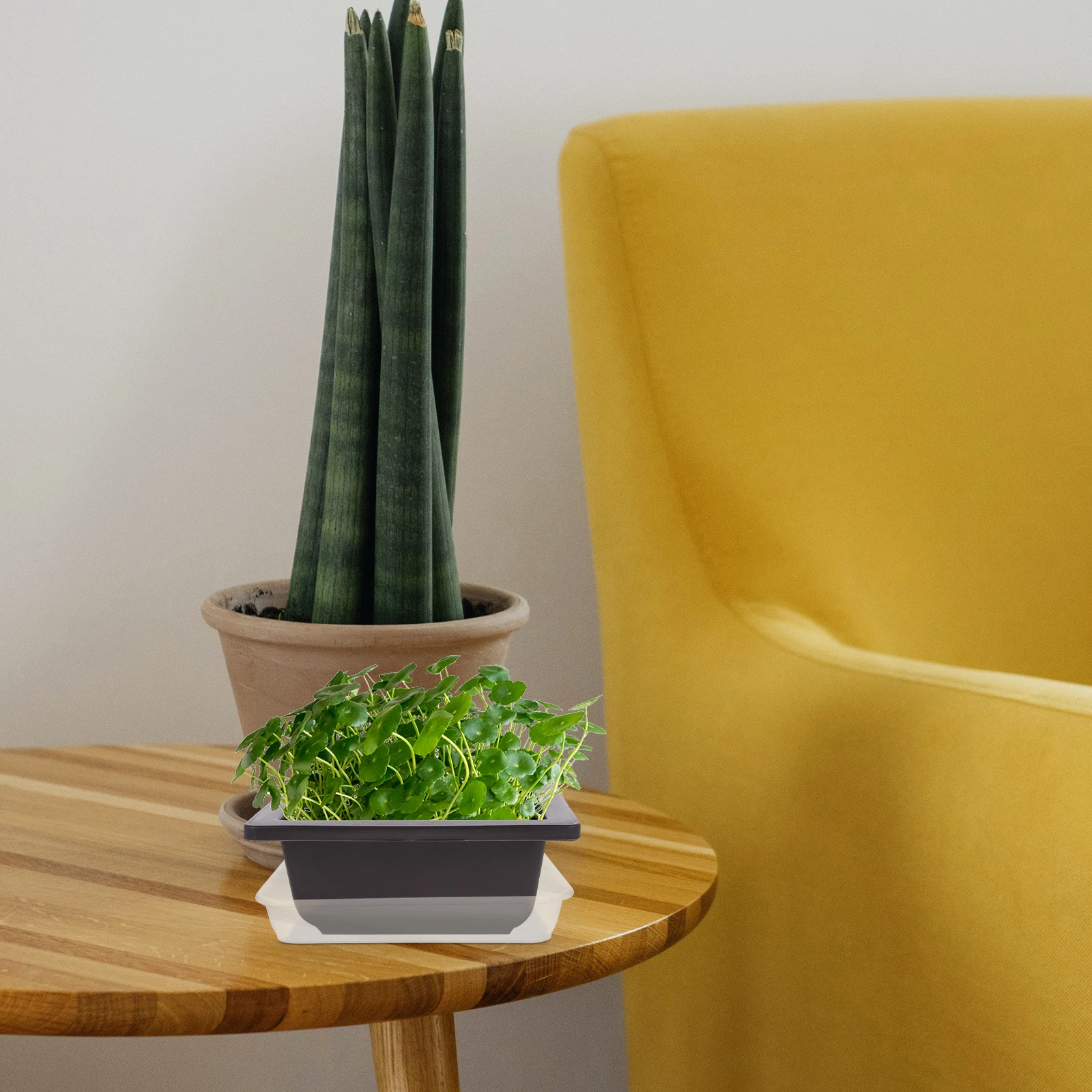 

20pcs Flower Pot Trays 15Cm Plastic Plant Saucers For Indoor Outdoor Drainage Drip Tray Potted Plants Water Protection