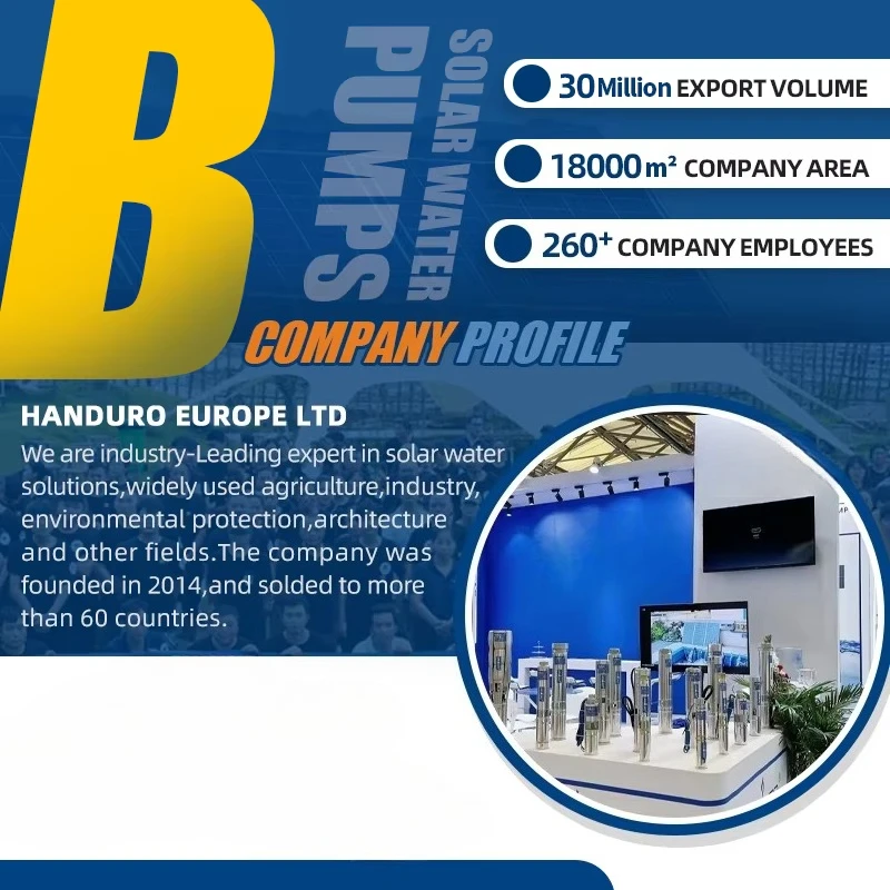 Solar Waterpomp Waterpompmachine Grote Flow20HP AC/DC 530V 15000W 125m 95m3/h 6 Inch Dompelpompen