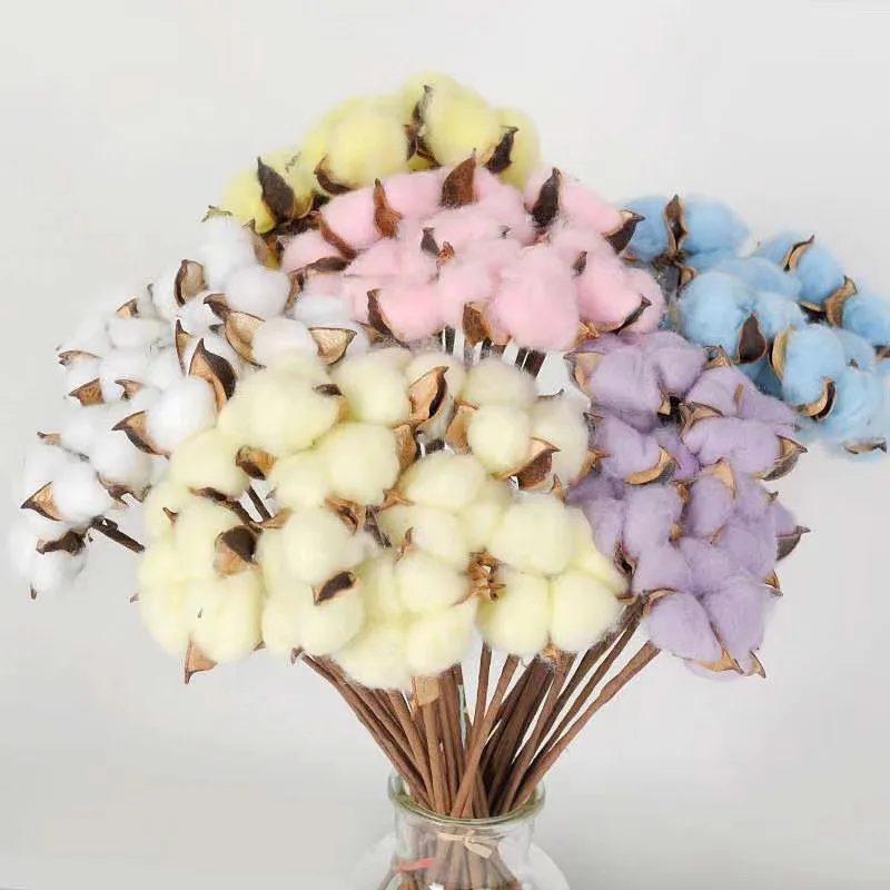 

Colorful Natural Dried Real Cotton Flowers Bridesmaid Bouquet Home Decor Comfort Accessories Nordic Wedding And Event Decoration