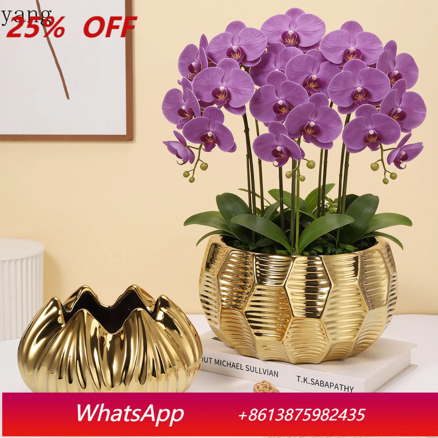 CX Creative Large Diameter Orchid Set Pot New Year Holly Phalaenopsis Electroplating Advanced Ornament