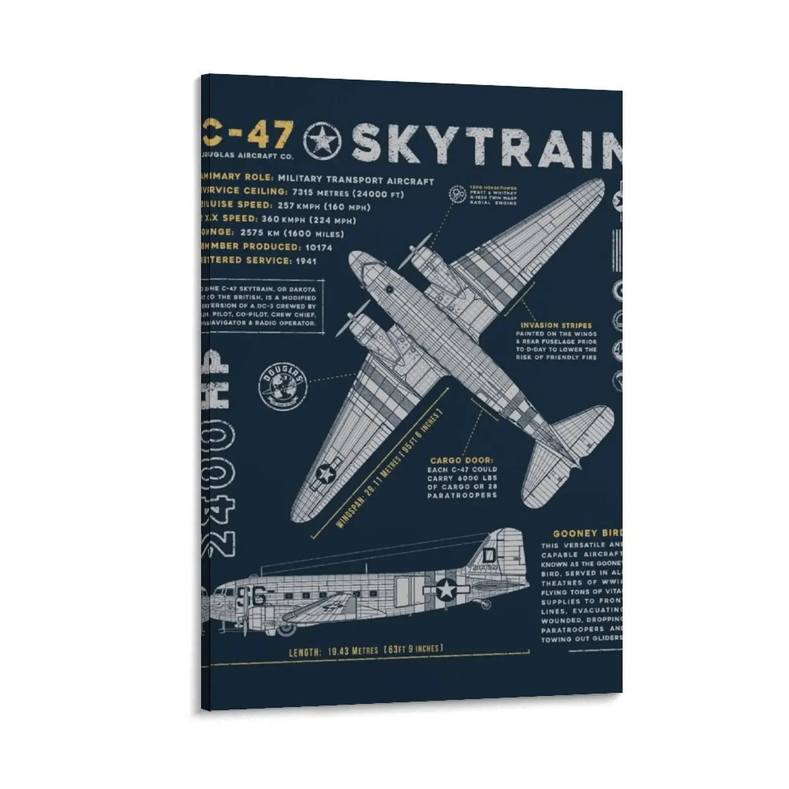 

C-47 Skytrain Canvas Painting Wall decoration frame Luxury living room decoration