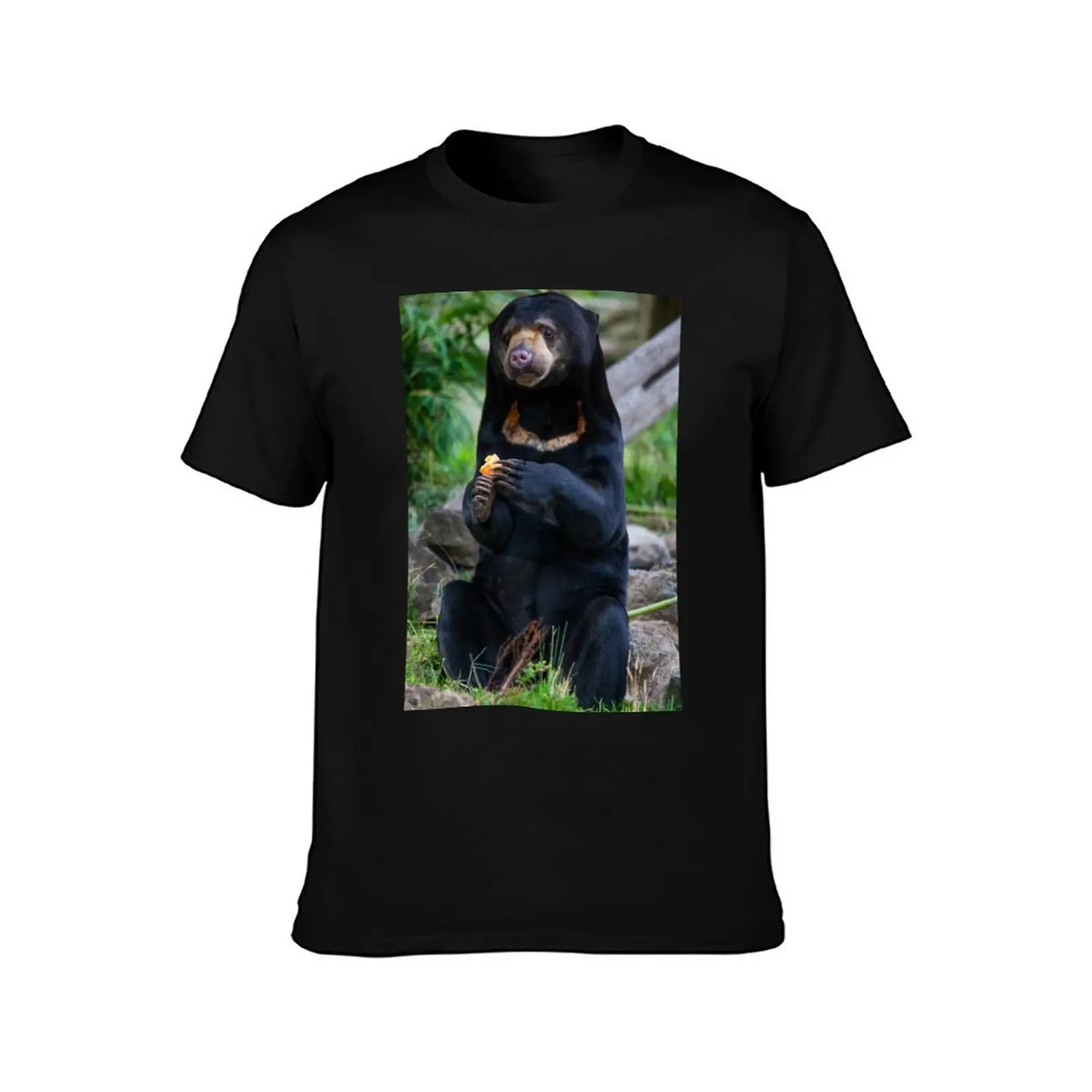 Malayan Sun Bear Contemplating T-Shirt Summer Holiday T-Shirt