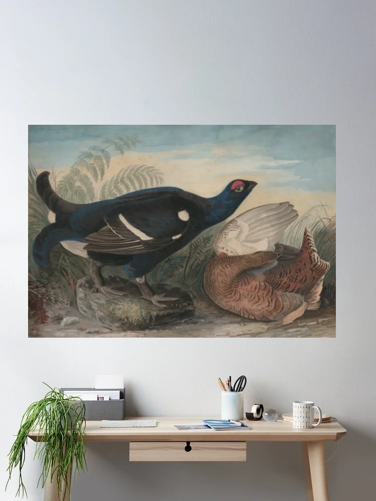 English Black Cocks John James Audubon Canvas POSTER ,Home Decor Wall art painting