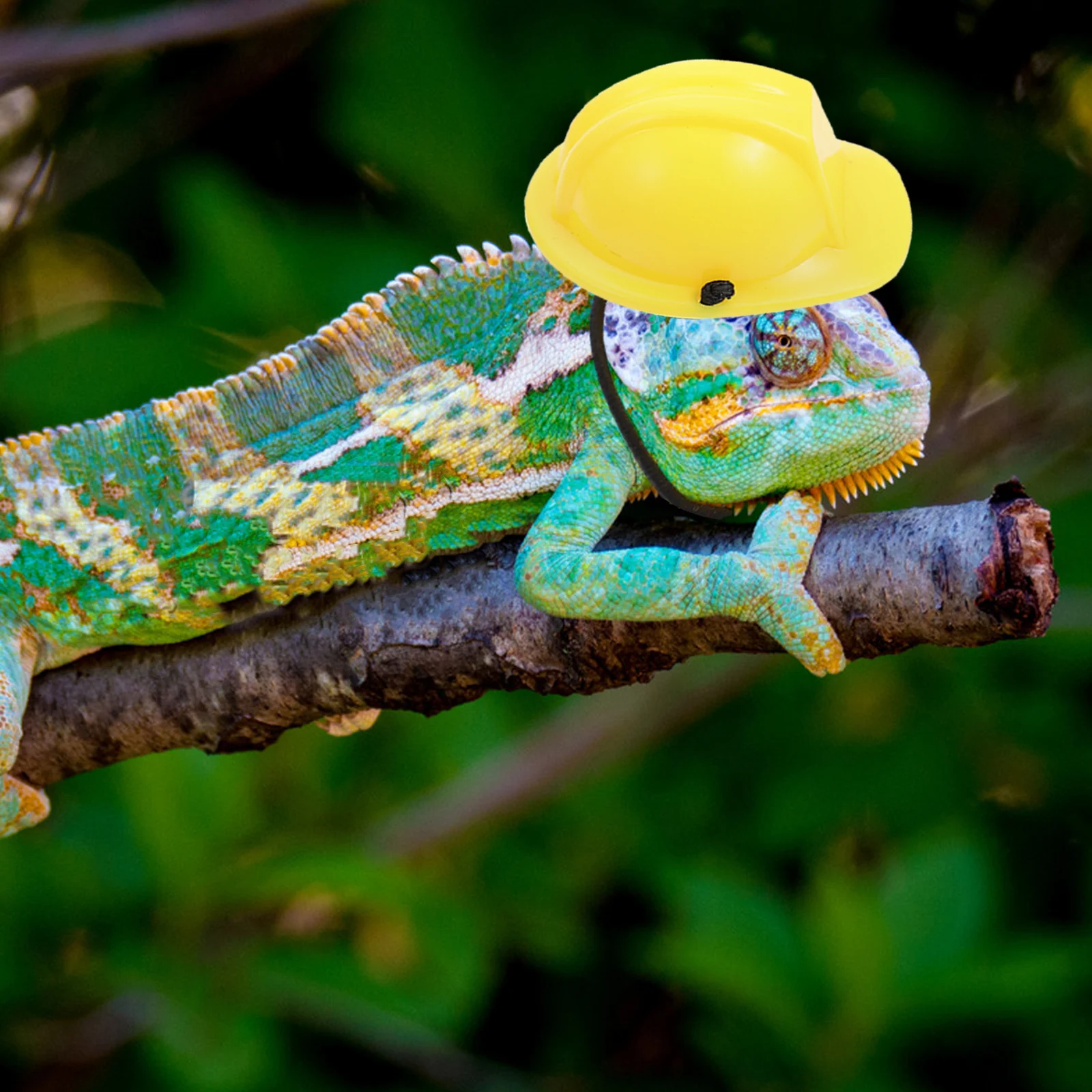 Stylish Small Reptile Pet Safety Gear for Lizard Snake Lightweight Plastic Protective Decorative Crawl Pet Fashion