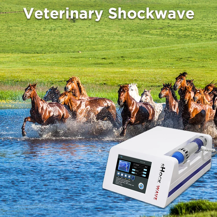 Vet Used Electromagnetic Shock Wave/Extracorporeal Shockwave Therapy Machine