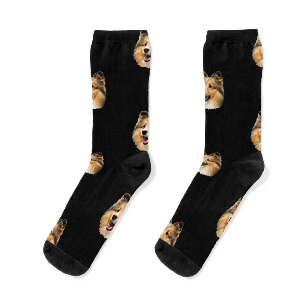 

Cute Sheltie Dog, Sheltie Socks sports stockings Crossfit basketball Men's Men Socks Luxury Brand Women's