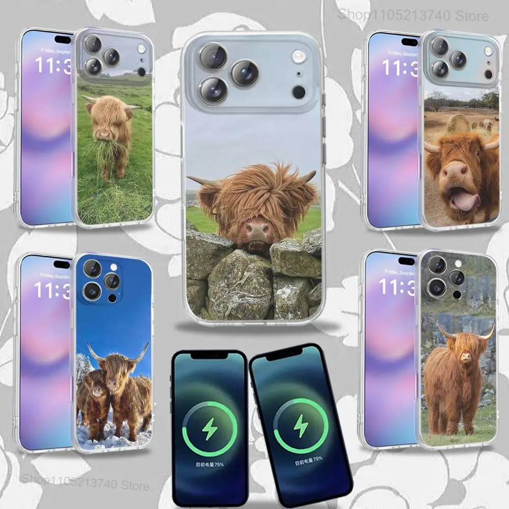 

C-Cow FurryS H-HighlandS For iPhone 17,12,11,14,13,15,16,Plus,Air,Pro,Max,E,Mini for Magsafe Magnetic Frosted Phone Case