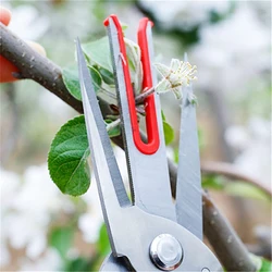 Double-edged Apple Picking Scissors Kiwi Pear Fruit Tree Scissors Yangjiang Double Mouth Thinning Fruit Thinning Scissors