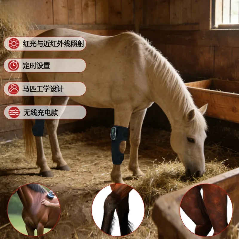 Horse Infrared Lamp 850mm Red Light Physiotherapy Instrument Sports Recovery Depth  Horse Knee  Repair