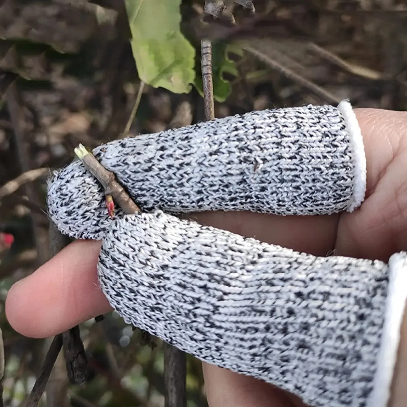 10 قطع من قفازات الأصابع عالية الأداء ومضادة للقطع للحماية من 5 مستويات للعمل في المطبخ