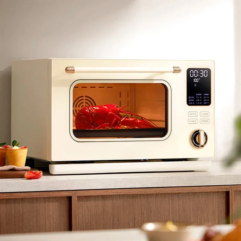 Electric Oven And Steamer