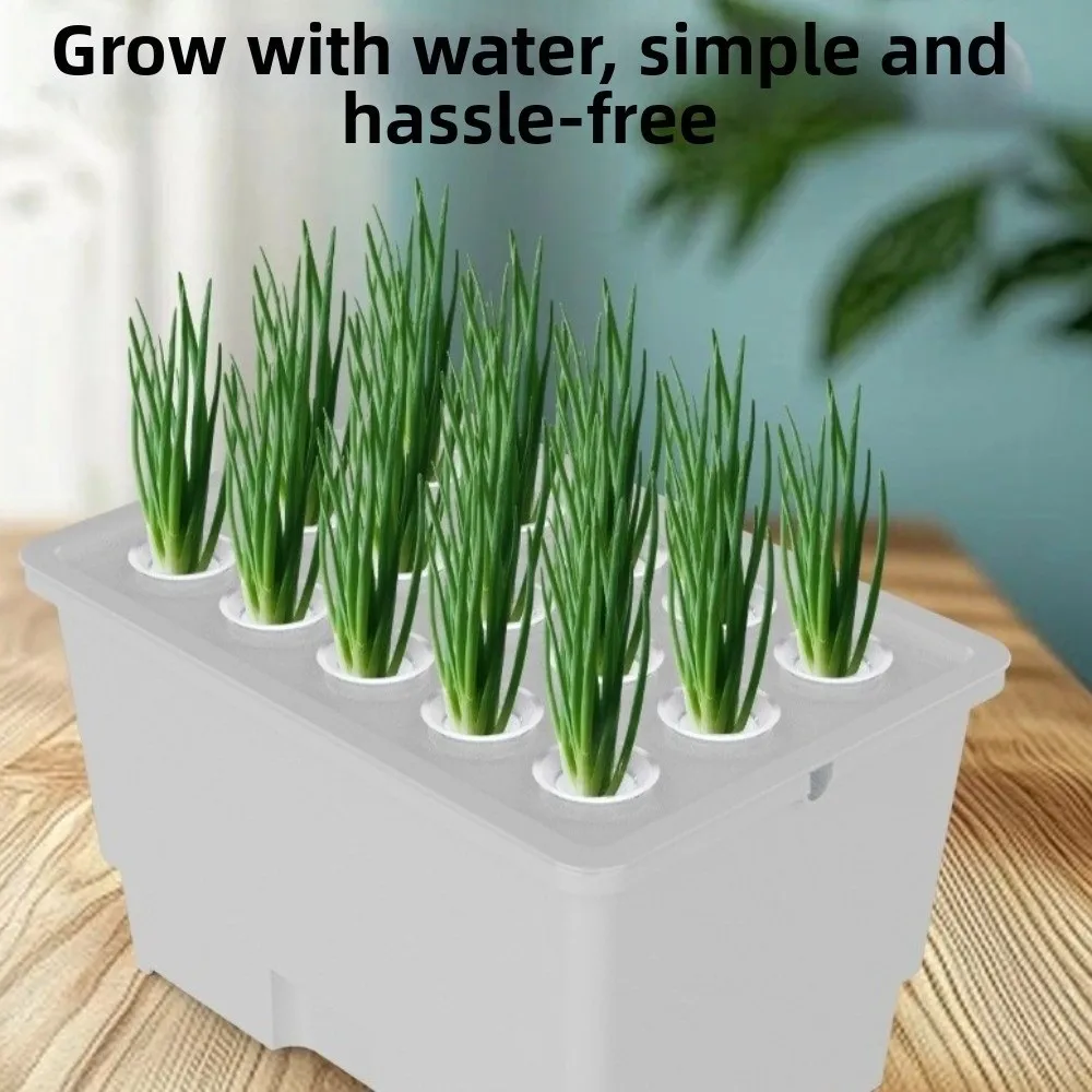 

Split Design Hydroponic Box Thicken Plastic Soil-Free Planting Box Nursery Pots Hydroponic Growing Box Fruits Growing