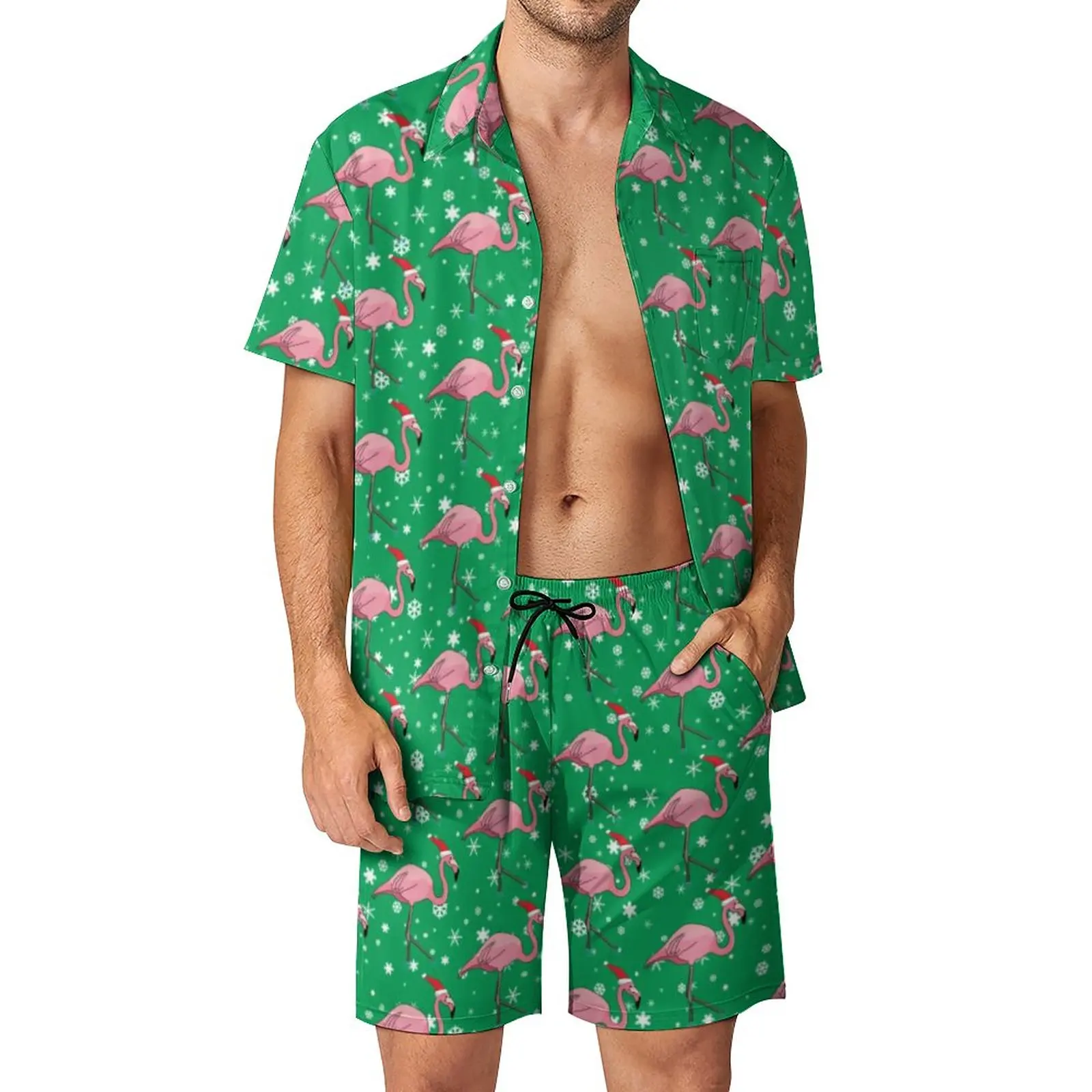 Cartoon Birds Print Vacation Men Sets Flamingoes Christmas Casual Shirt Set Summer Graphic Shorts 2 Piece Hawaii Suit Big Size