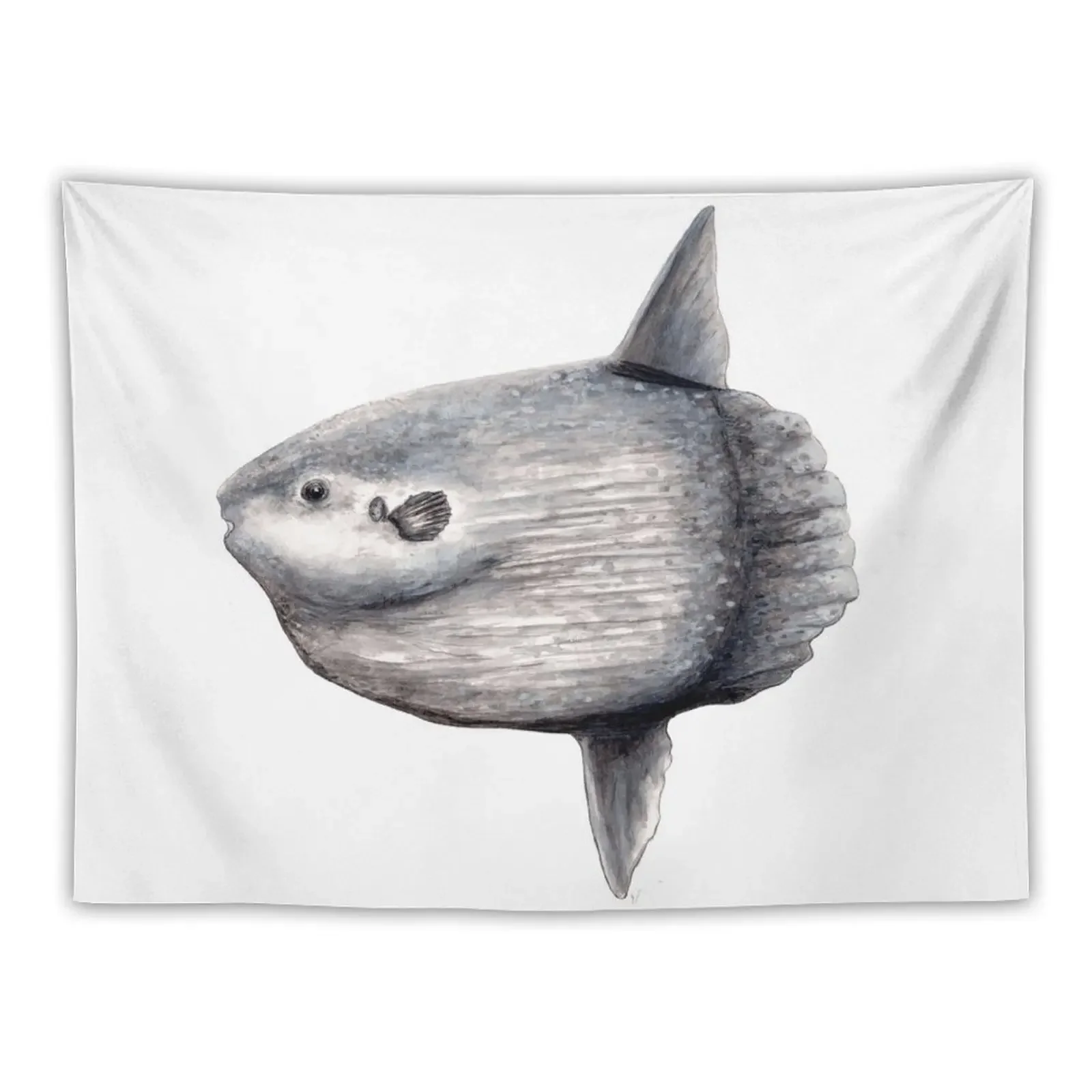 

Ocean sunfish (Mola mola) Tapestry Wall Decor Hanging Carpet Wall Things To Decorate The Room Wall Deco Tapestry