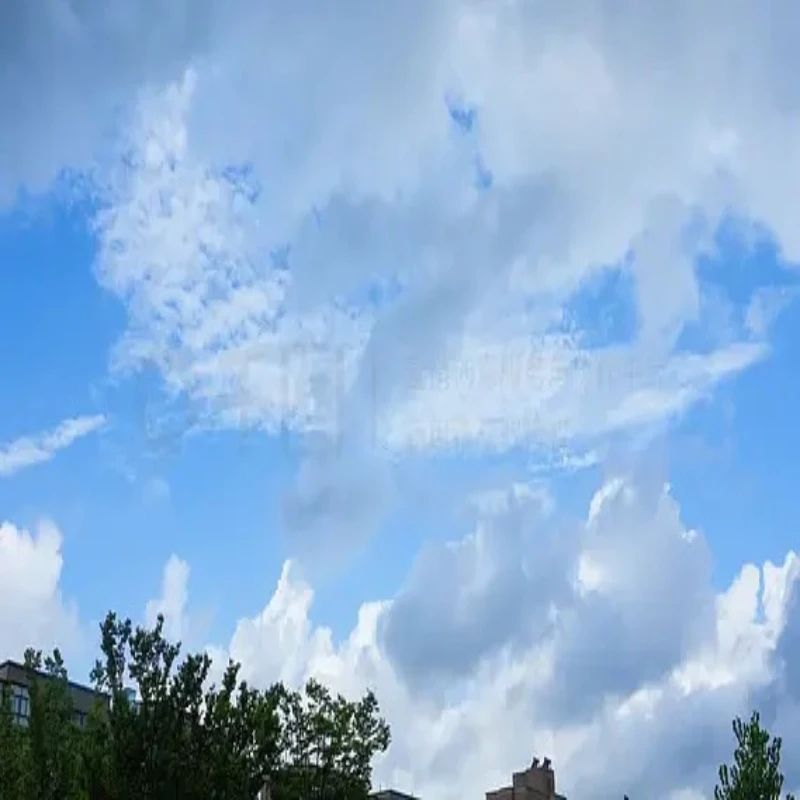 

T-MOTOR F60 V-LV Brushless Motor 1950kv 2020kv 5-inch 5-6s Drone Motor for Fpv Freestyle Competition