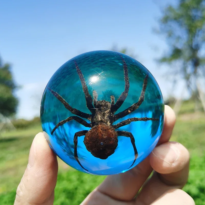 

8pcs Real Insect Specimens Luminous Resin Spider Scorpion Beetle Hemisphere Decoration Holiday Gift Home Decoration