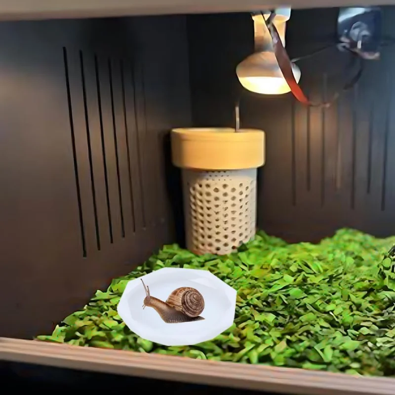 Comedero de caracol, lagarto, gecko, camaleón y cangrejo ermitaño, hecho de material seguro, cuenco de agua de silicona, 2 uds.