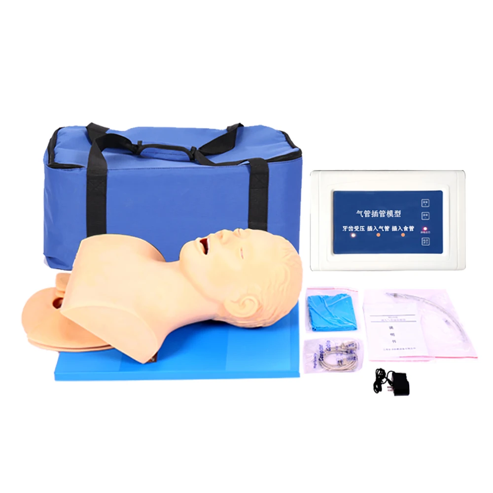 110-220V Intubation Manikin Study Teaching Model Airway Management Trainer PVC With Teeth