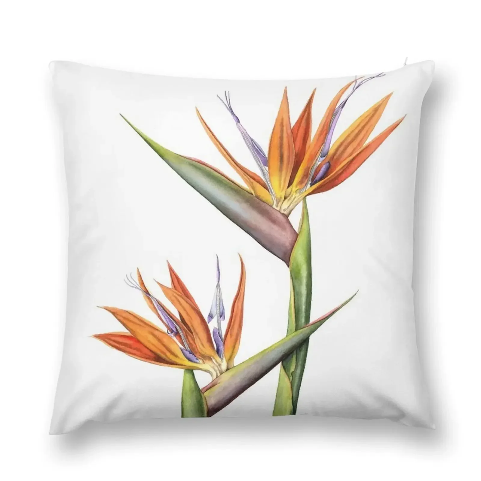 Bird of Paradise flower (Strelitzia reginae) Throw Pillow Pillowcases For Pillows bed pillows Sitting Cushion pillow