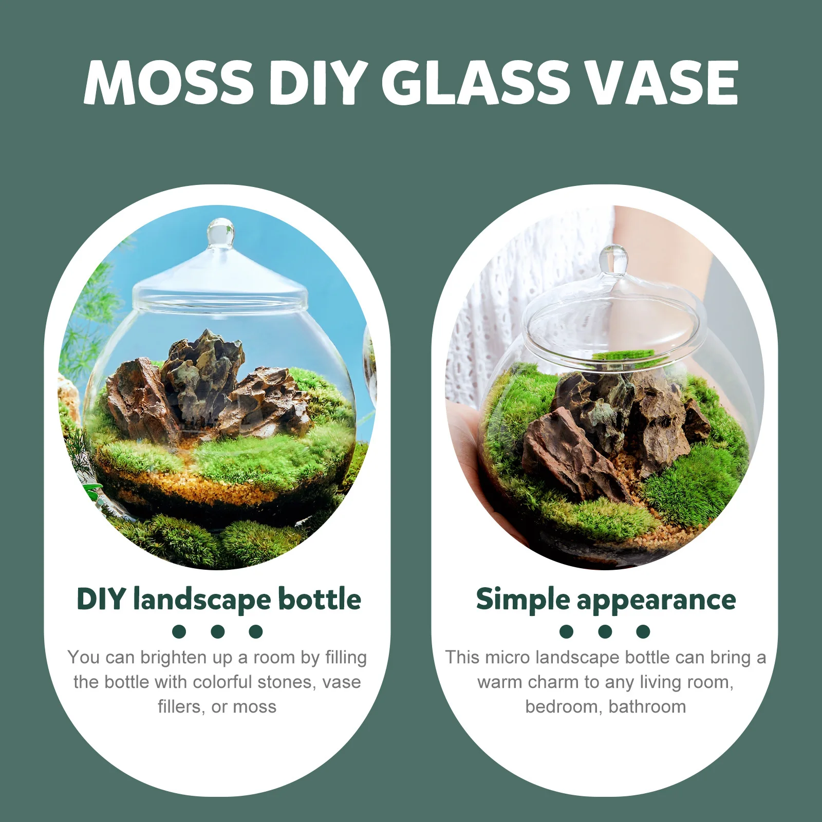 

1Set Glass Ecological Bottle Moss Plant DIY Landscape Container Clear Glass Micro Landscape Vase Decorative Home Office Decor