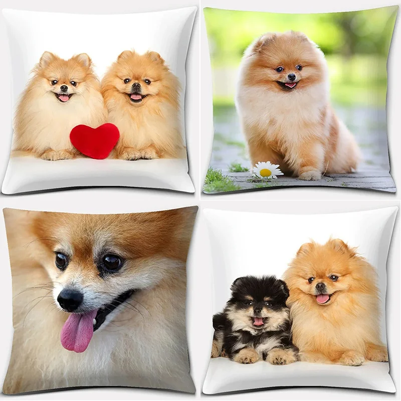 DecoracióN Del Hoga… - image