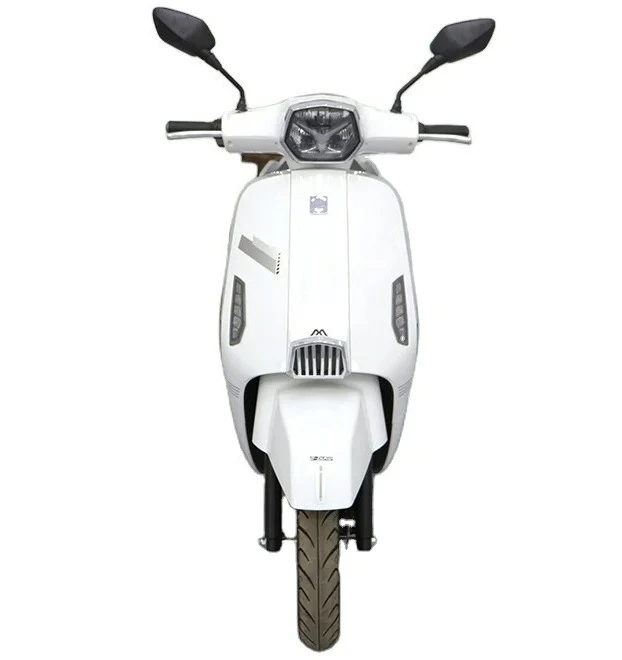 

Vintage Style Electric Motorcycle for Adults, 1000W 60V with Pedals, 80-100KM Long Range, Retro E-Bike, Removable Battery