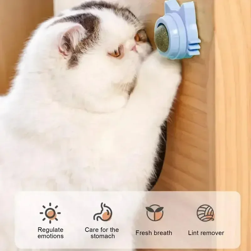 Catnip Toys for Cats Indoor Interactive Wall Spin Ball Natural Mint Enhances Digestion Appetite Stimulant Cat Dental Care view 2