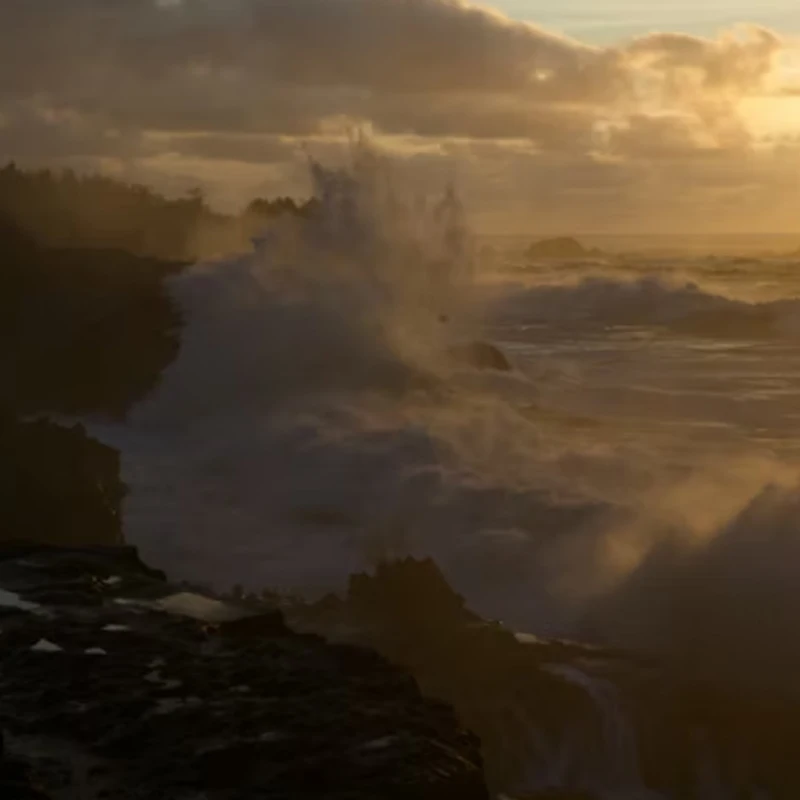 

Foxeer Wildfire 5.8GHz 72CH Dual Receiver Support OSD Firmware Update for Fatshark FPV Goggles