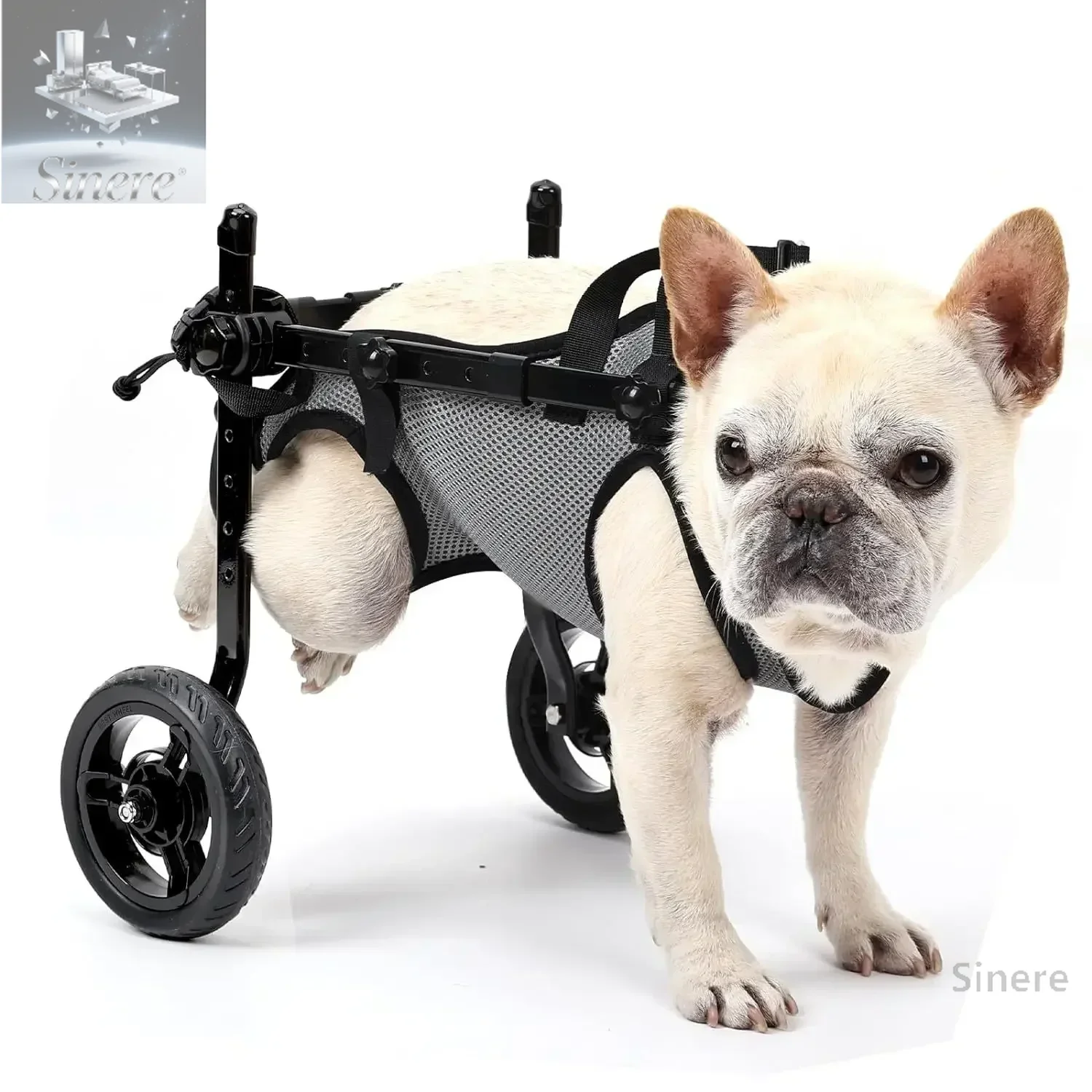 

Cross-border explosion Pet trolley Dog rehabilitation Assisted walking Hindlimb walking inconvenience