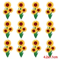 PE9045CT