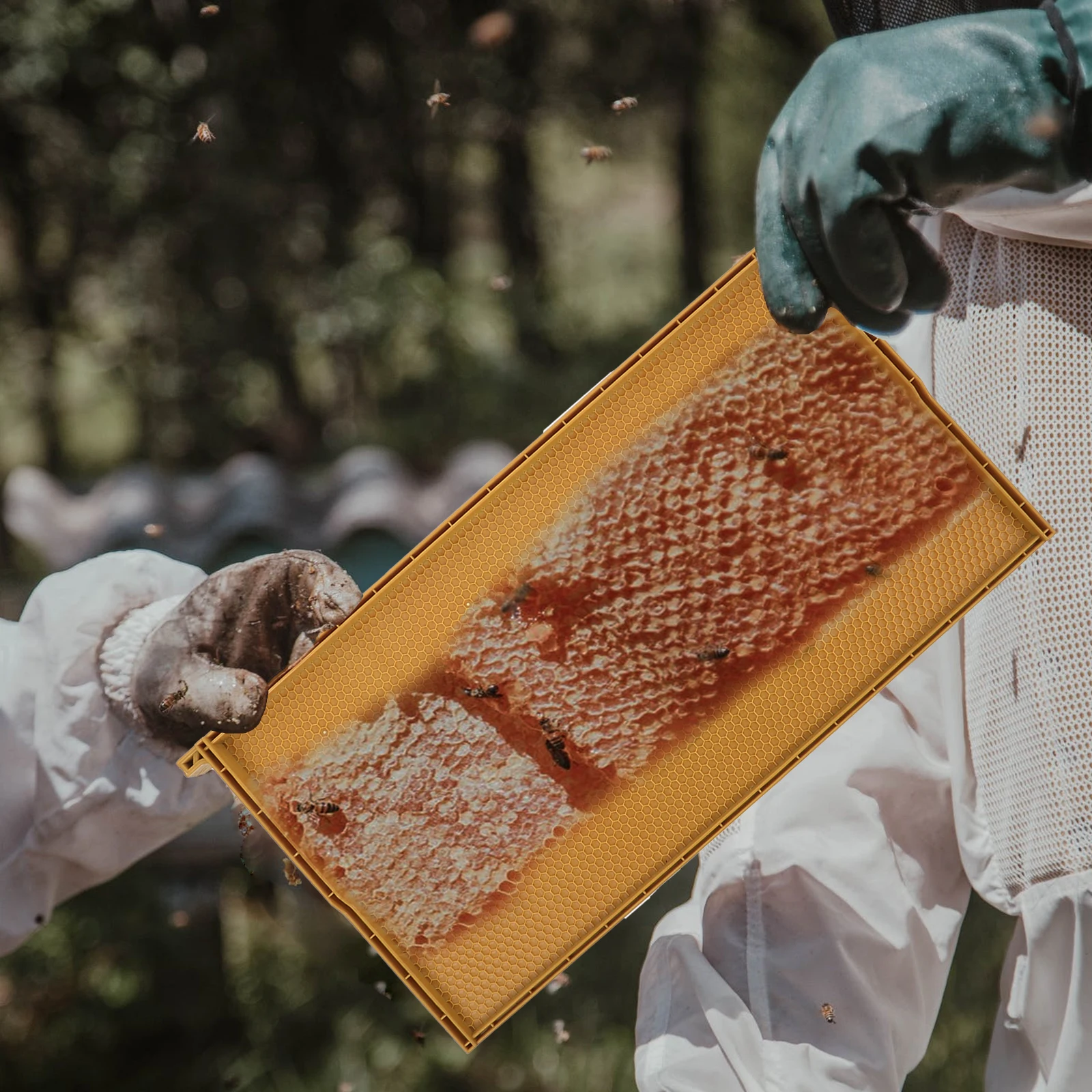 

Plastic Nest Base Honeycomb Foundation Plate Beehive Frames with Wax Artificial Foundations for Beehives Yellow Beekeeping