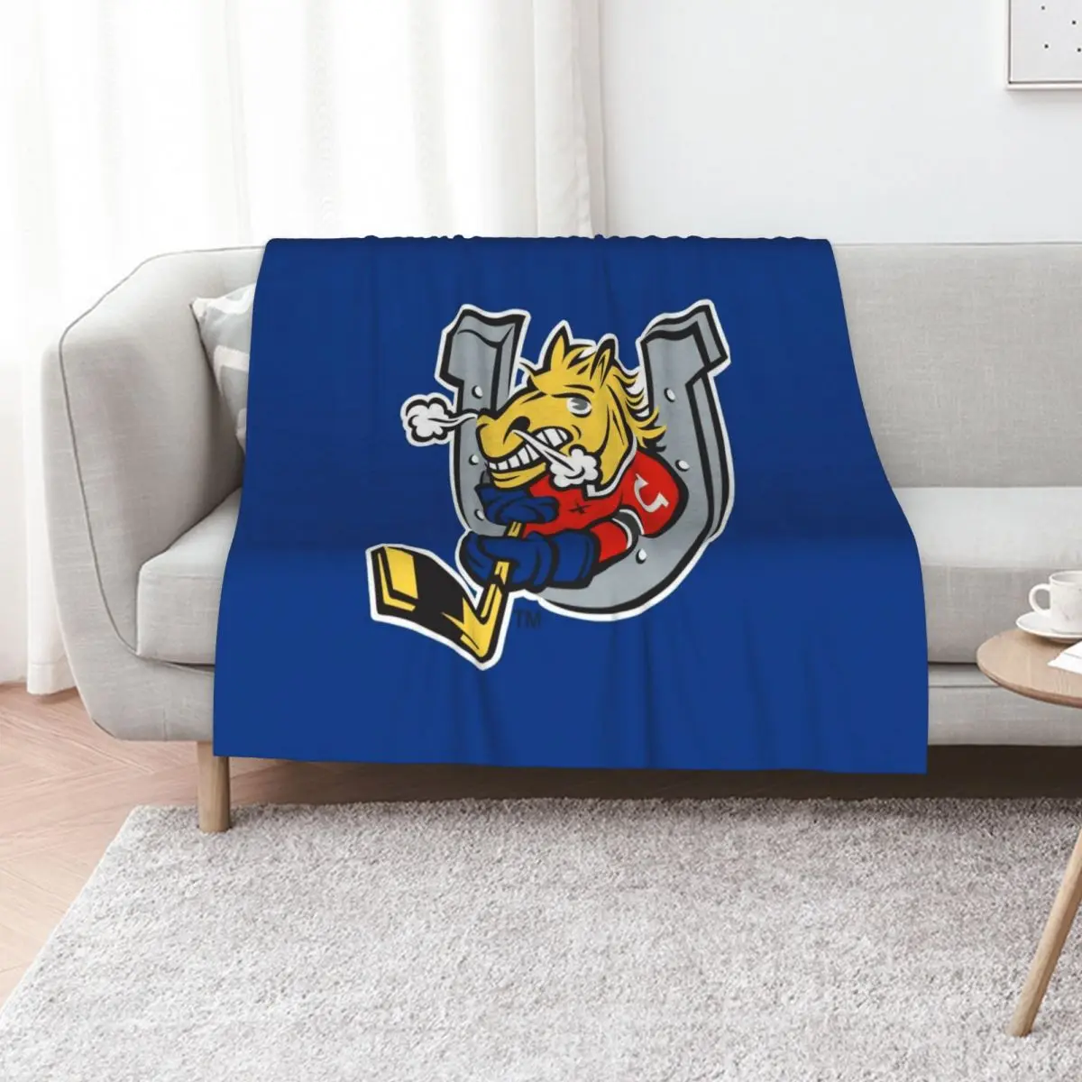 

Barrie Colts Ontario Hockey Throw Blanket Decorative Throw anime warm winter Bed Fashionable Blankets