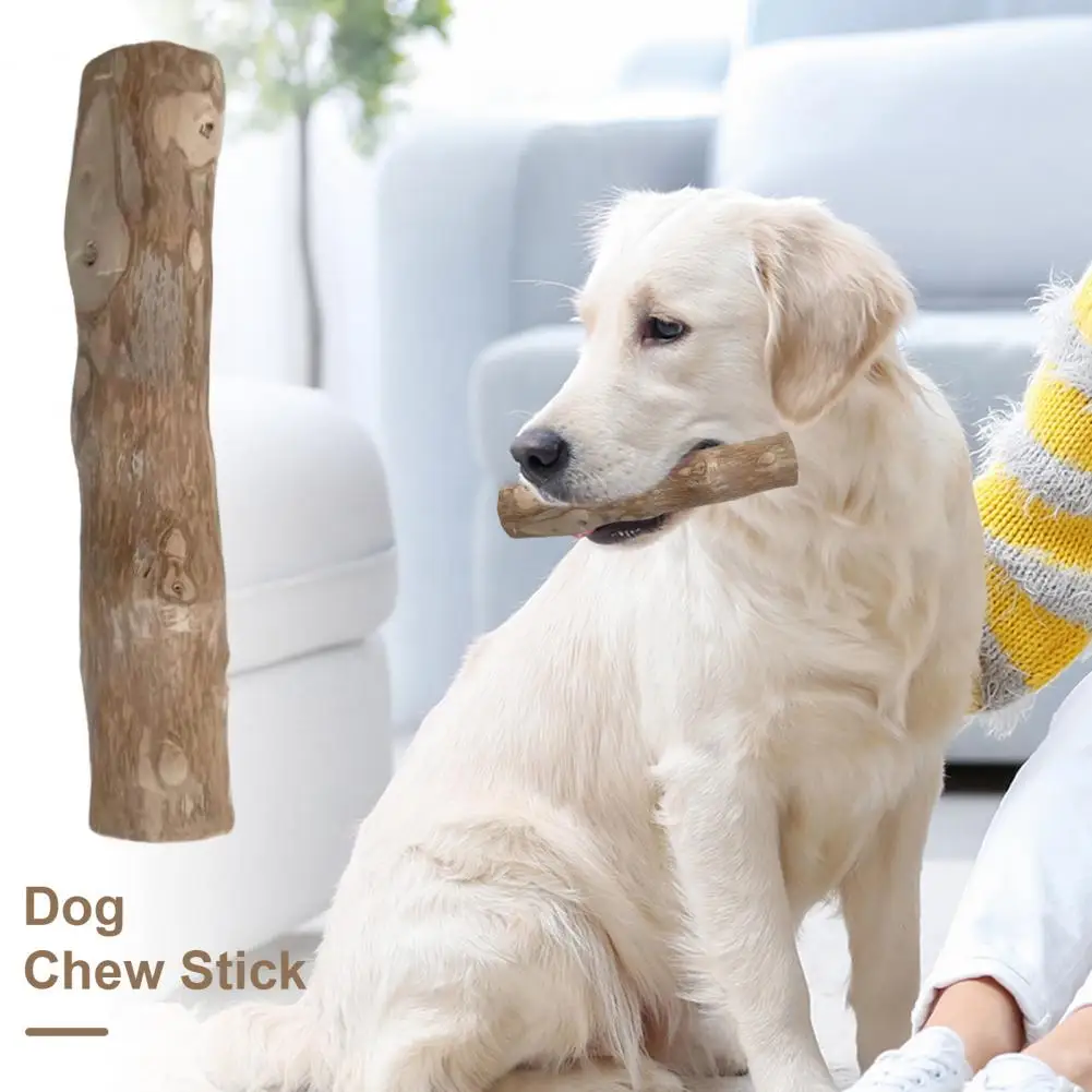 Coffee Plant Dog Toys Dog Toys Natural Wooden Dog Chew Sticks for Teeth Stress Relief Wood Chews Toy for Dental Health Care 100