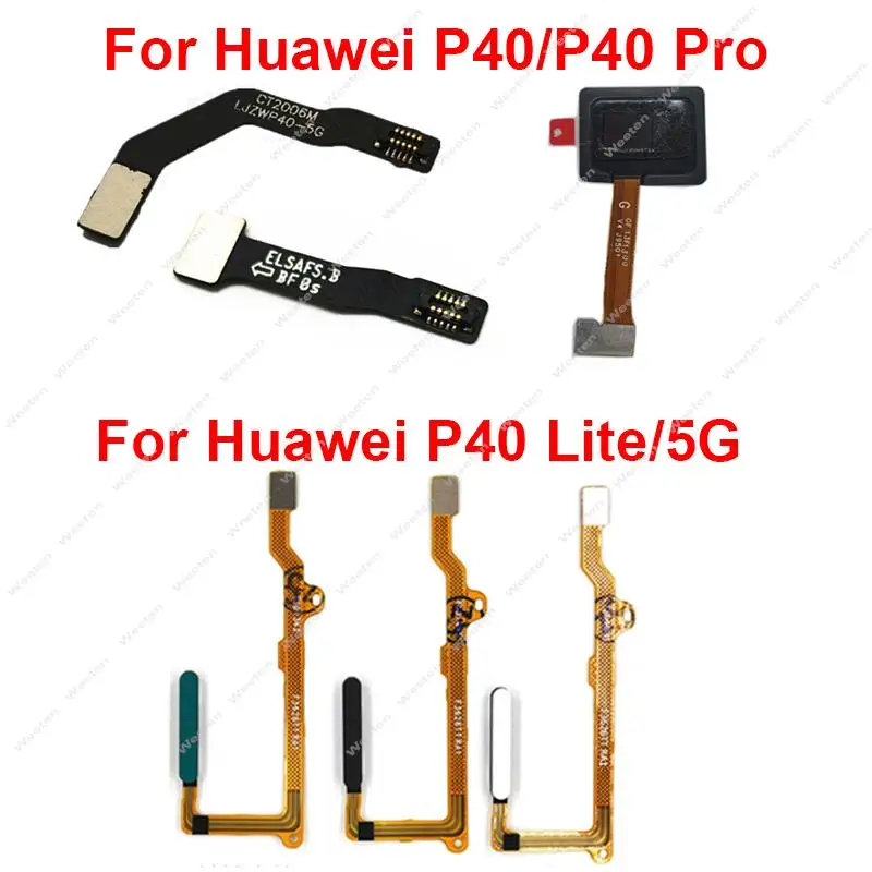 

Power Button Fingerprint Sensor For Huawei P40 P40 Pro P40 Lite 5G Touch ID Home Return Button Key Sensor Connecting Flex Cable