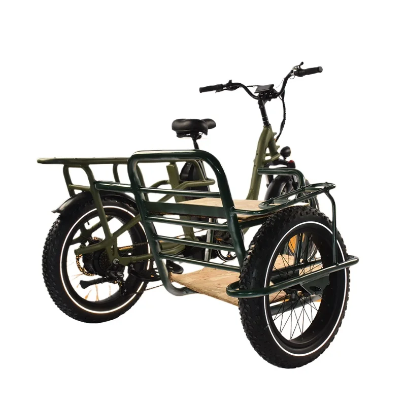 C201 Electric Dual lithium Battery Cargo E Bike 48V750W20