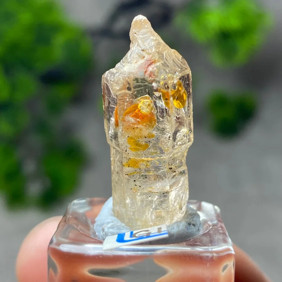 Rare 100% Natural Petroleum Crystal Oil Gall Quartz Fluorescence Effect Mineral Specimen From Pakistan