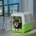 

Spree Travel Pet Carrier for Dog or Cat with Plastic Door, Green
