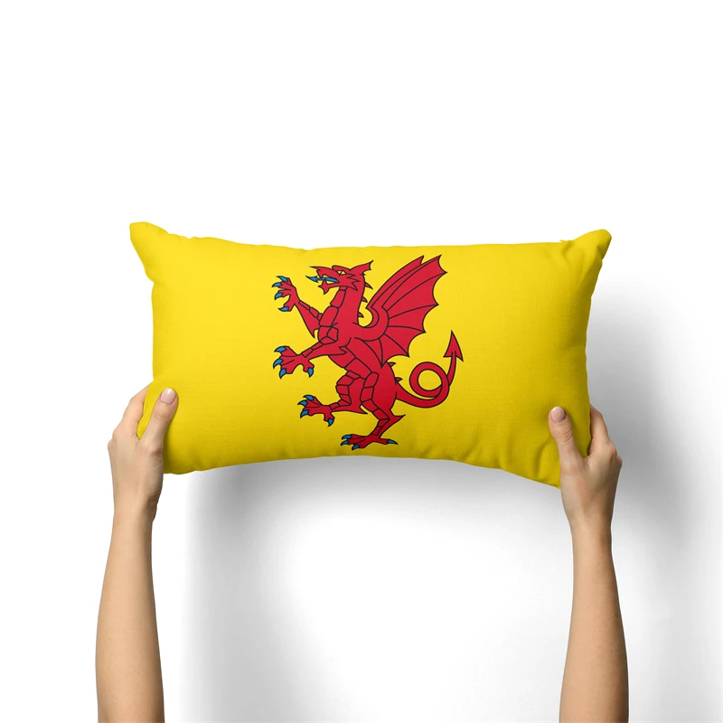 Gaslight Gatekeep GirlbossKiss Somerset England Rectangular Throw Pillow Covers Cushion Cases Pillowcases