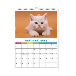 Calendário de parede para apartamento e dormitório, Calendário Funny Cat, A4, 2024