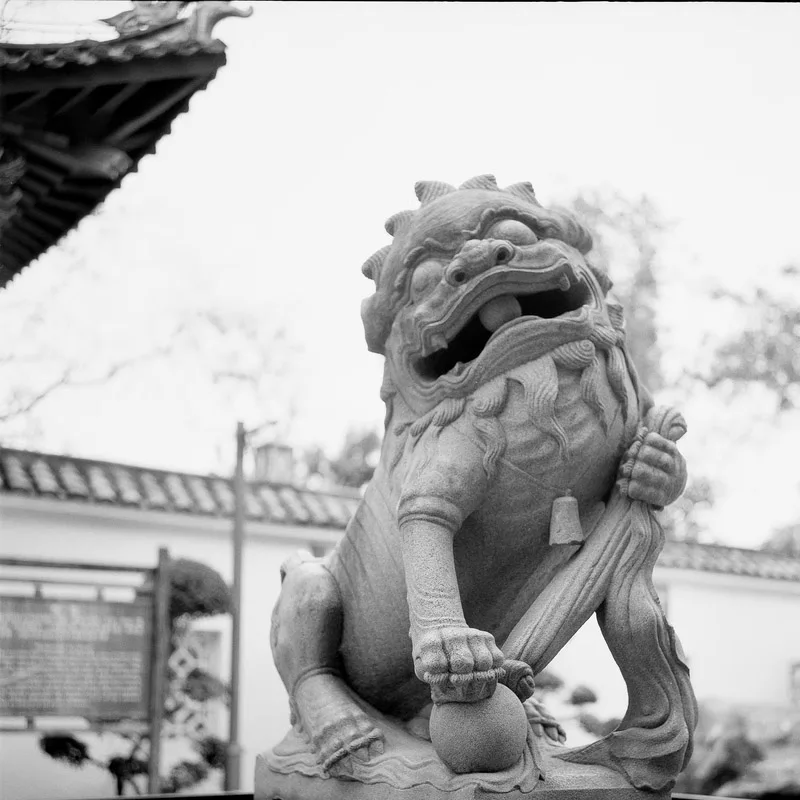 1/2/3/5/8 ロール Rollei RPX 25 120 白黒ネガフィルム（36 露出/ロール）120 フィルムカメラ カメラ (有効期限: 2026)