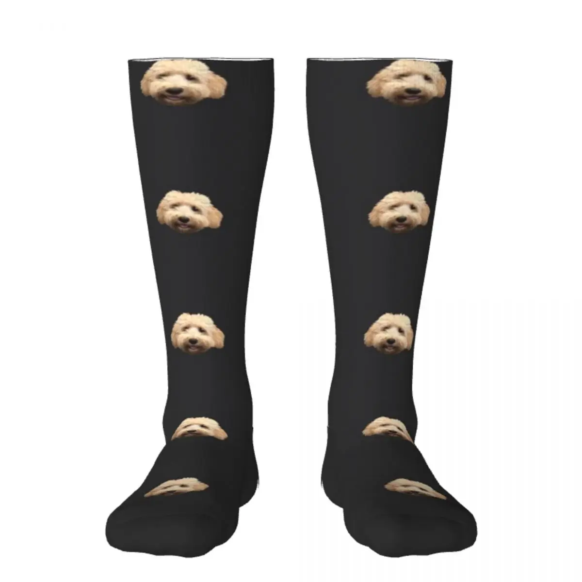 

Rosie the Goldendoodle Grey Socks anime gifts Socks For Men Women's