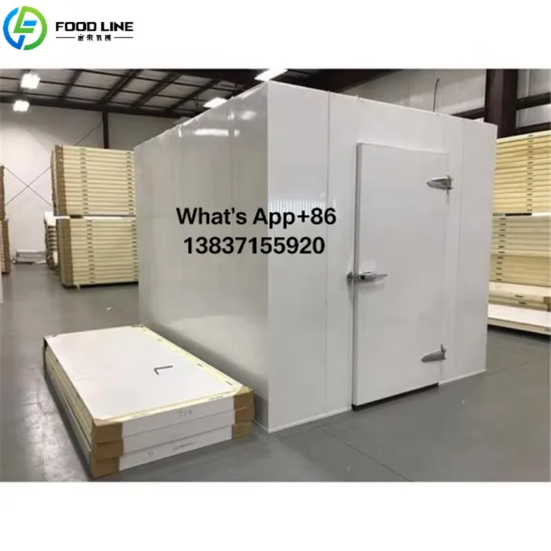 Custom Cold Room Cold Unit Refrigeration Storage Food Container Snacks Meat Freezer For Commercial Industrial Use