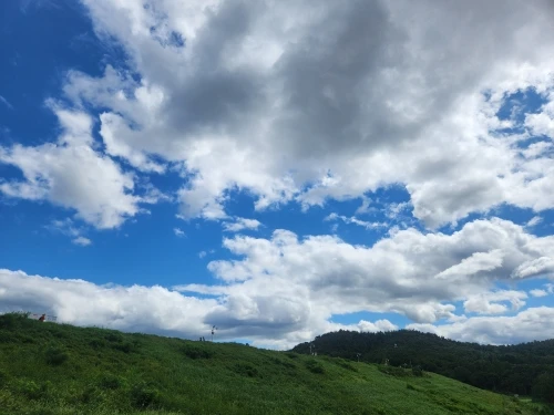 리뷰 사진