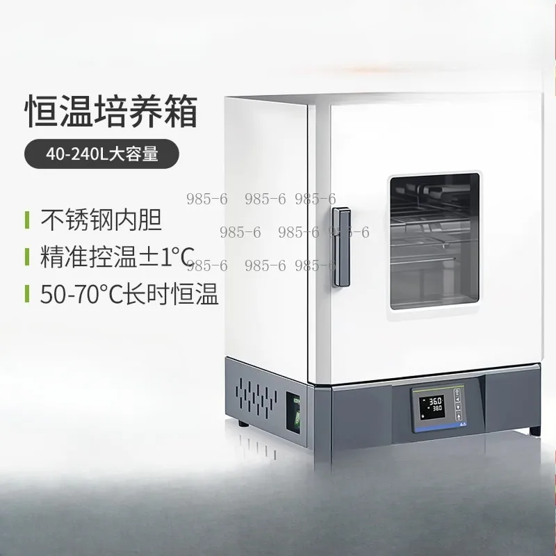 136L Electric Heating Constant Temp Test Chamber, Stainless Steel Cell with Constant Humidity & Artificial Climate