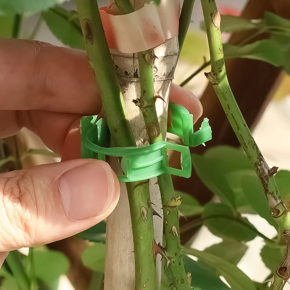 10/100Pcs Plastic Garden Vine Strapping Clips Tie Plant Bundled Buckle Ring Holder Garden Tomato Plants Stand Support Tool