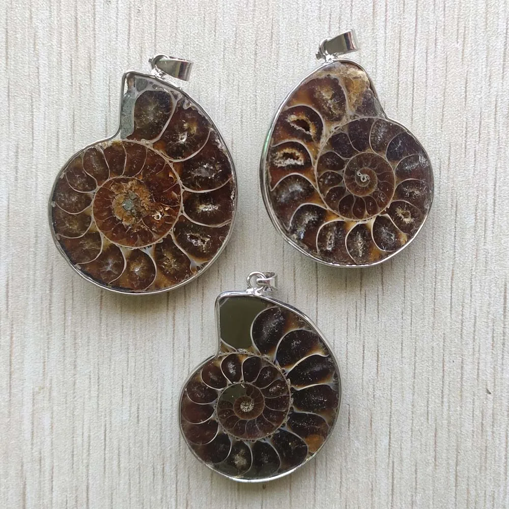 Natural ammonite snail shell healing stone pendants for necklaces jewelry accessories making fast shipping Wholesale 6pcs/lot