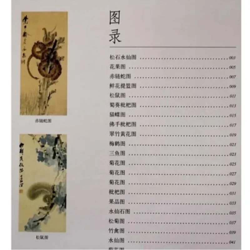 Chinese Painting Brush Ink Art Sumi-e Album Xu Gu Flowers Landscapes Fruits Book Pack of 2