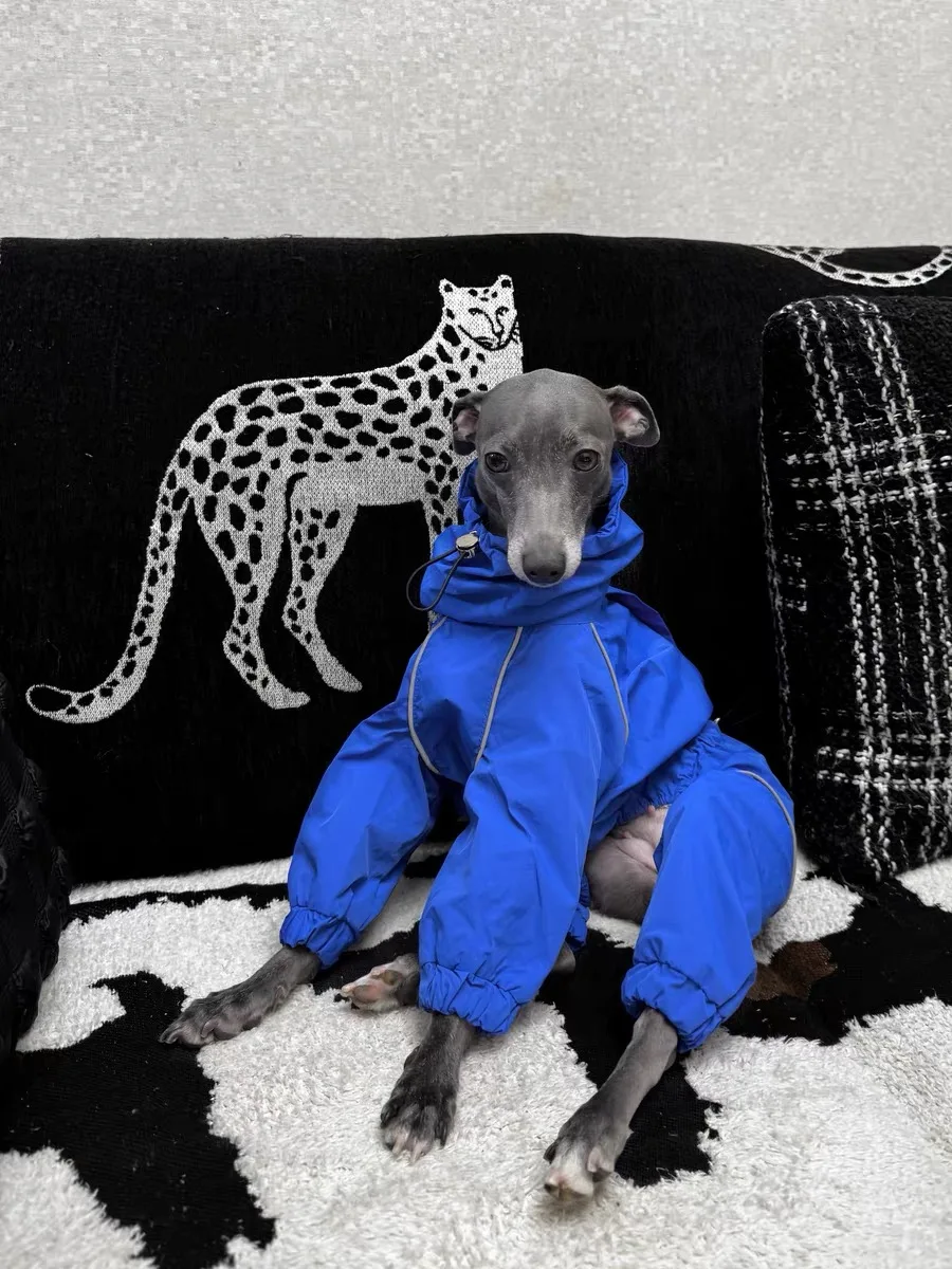 

Fashion Waterproof Italy Greyhound Dog Clothes Windproof 4-legged Dog Raincoat Blue Jacket Coat Soft Loungewear for Bellington