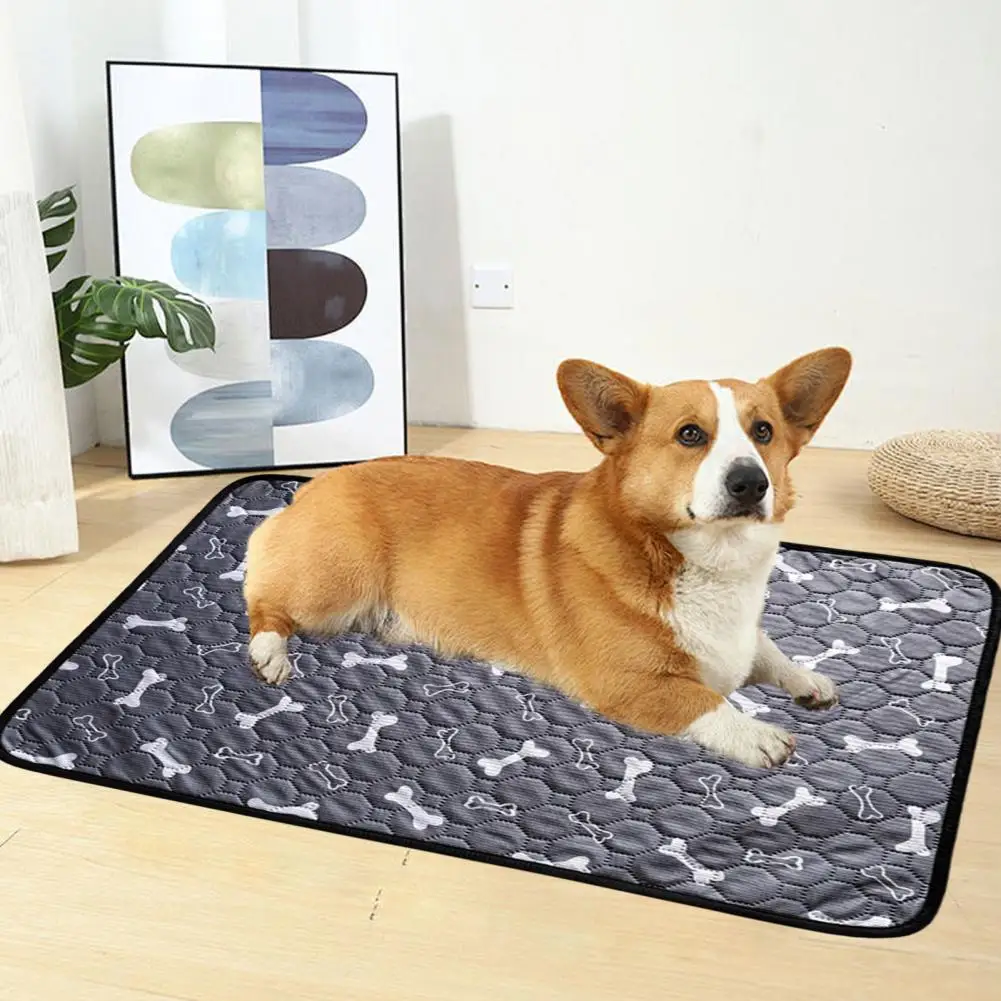 Water-absorbent Puppy Pad Reusable Pet Pee Mat Washable Reusable Dog Pee Pad for Pet Training Waterproof Absorbent for Indoor